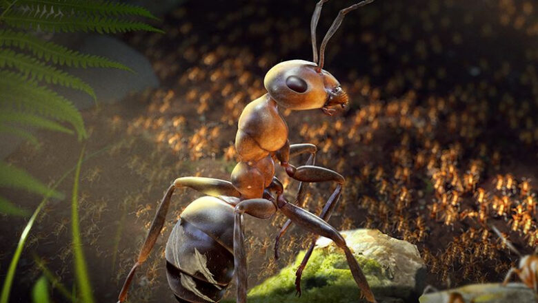 Microids Presented A Whole Hour Of Gameplay From The Strategy About Ants: “Empire of the Ant”