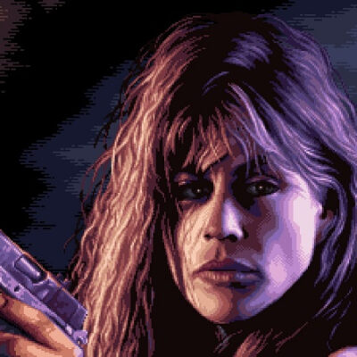 New Gameplay of the Arcade Action Game “Terminator 2D: No Fate”
